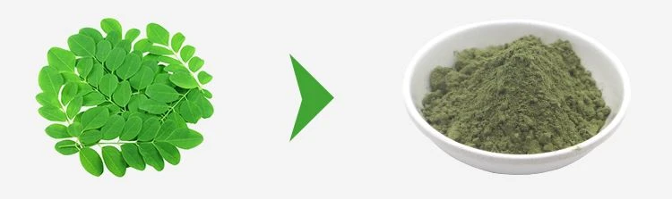 Moringa powder Moringa powder