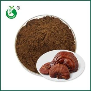 Účinky a kontraindikácie Spore Powder Ganoderma
