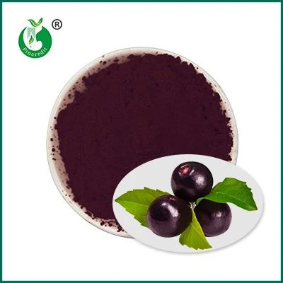 Čistý prášok Acai