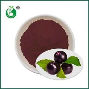 Acai Berry šťava v prášku