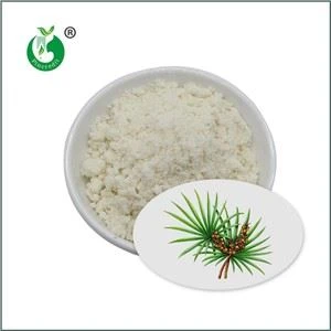 Saw Palmetto extrakt prášok