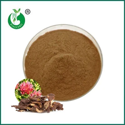 Na čo sa používa extrakt z Rhodiola Rosea?