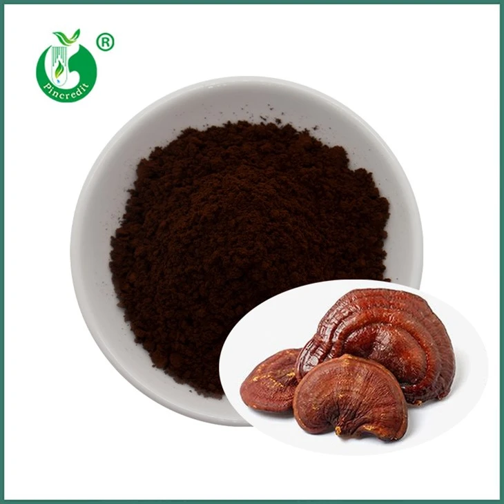 Spishi prášok Reishi