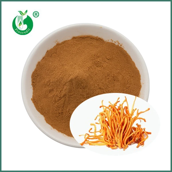Organický extrakt z huby Cordyceps Militaris