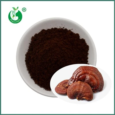 Spishi prášok Reishi